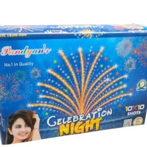 Pandian Celebration Night (10 x 10)